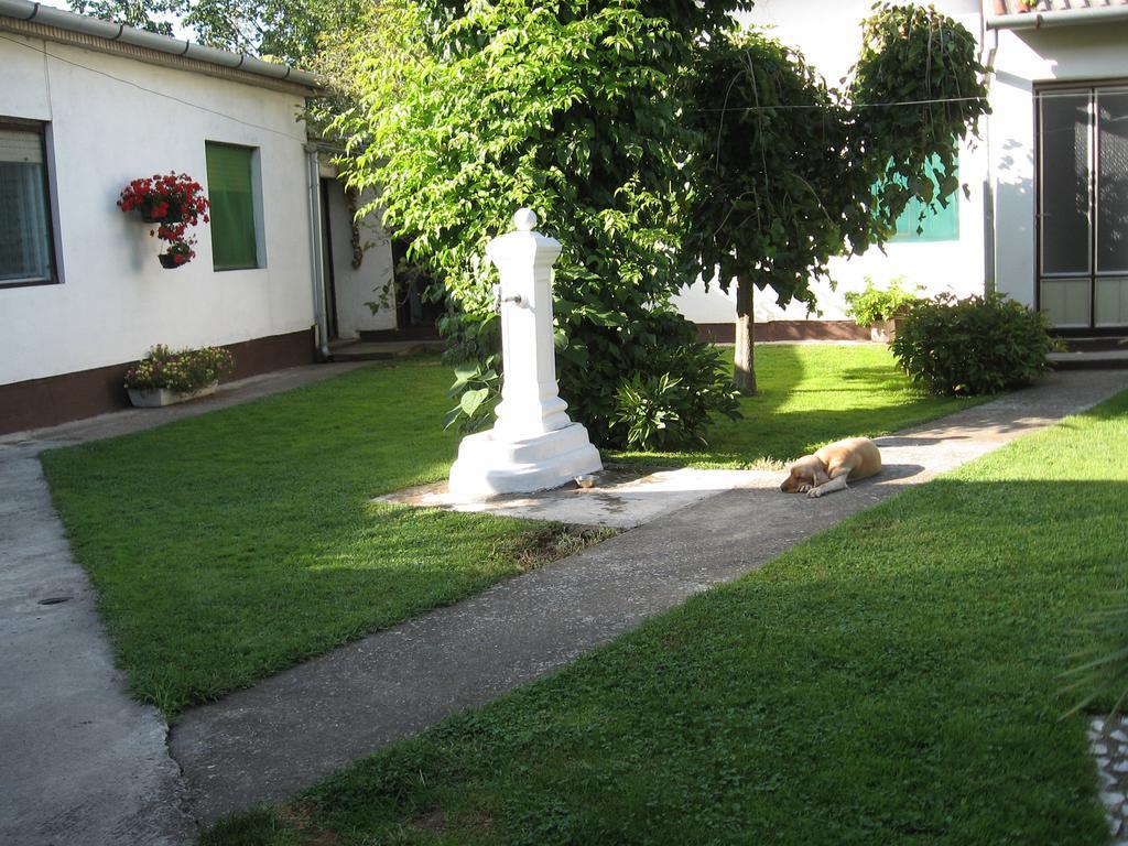 Green Apartment Νόβι Σαντ Εξωτερικό φωτογραφία